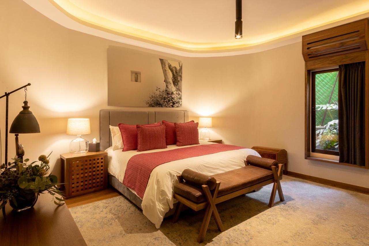 Casa Hedera Hotel Naucalpan de Juárez Eksteriør billede